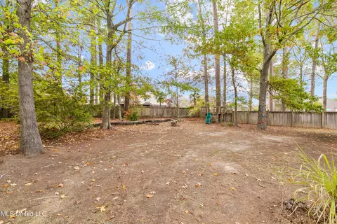 223 Lighthouse Ln, Brandon, MS 39047 photo 66