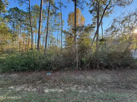 9934 Kahana St, Diamondhead, MS 39525 photo 10