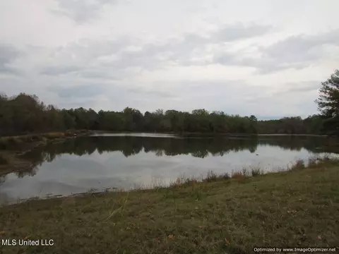 Davis Crossing Road, Canton, MS 39046