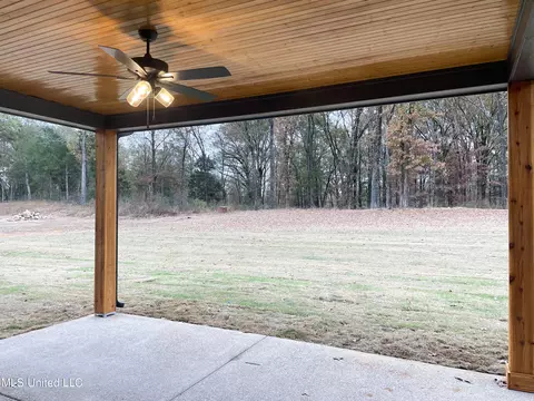 Exterior - 5043 Camp Crossing Xing, Hernando, MS 38632 photo 6 of 16