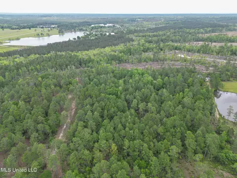 tbd Perkinston Silver Run Rd, Perkinston, MS 39573 photo 9