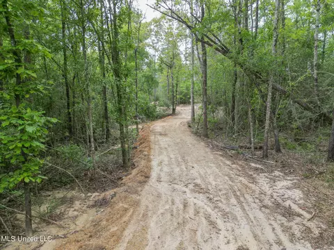 tbd Perkinston Silver Run Rd, Perkinston, MS 39573