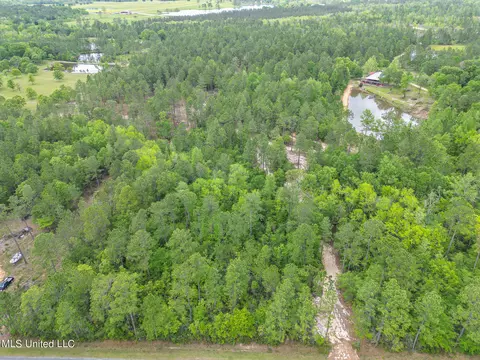 tbd Perkinston Silver Run Rd, Perkinston, MS 39573 photo 2