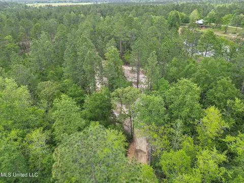 tbd Perkinston Silver Run Rd, Perkinston, MS 39573 photo 10