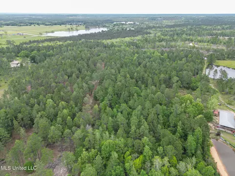 tbd Perkinston Silver Run Rd, Perkinston, MS 39573 photo 8