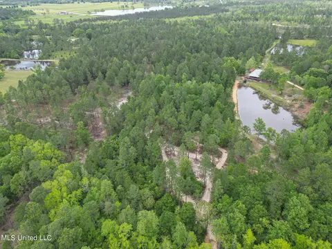tbd Perkinston Silver Run Rd, Perkinston, MS 39573 photo 3