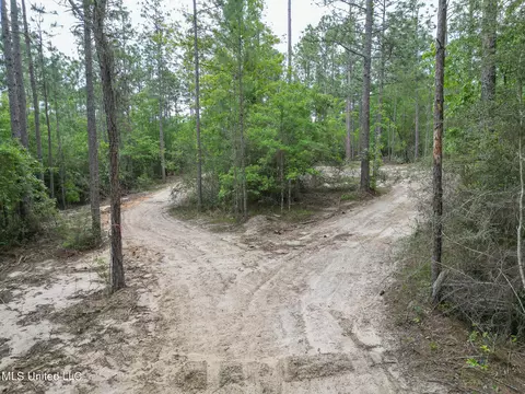 tbd Perkinston Silver Run Rd, Perkinston, MS 39573 photo 11