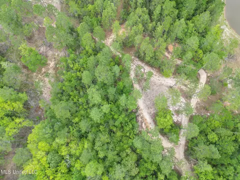 tbd Perkinston Silver Run Rd, Perkinston, MS 39573 photo 7