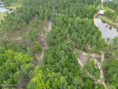 tbd Perkinston Silver Run Rd, Perkinston, MS 39573 photo 4