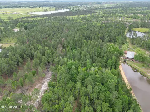 tbd Perkinston Silver Run Rd, Perkinston, MS 39573 photo 6