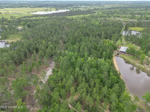 tbd Perkinston Silver Run Rd, Perkinston, MS 39573 photo 5