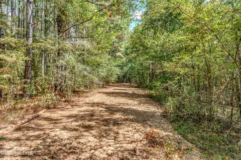 6910 Tank Rd, Terry, MS 39170 photo 66