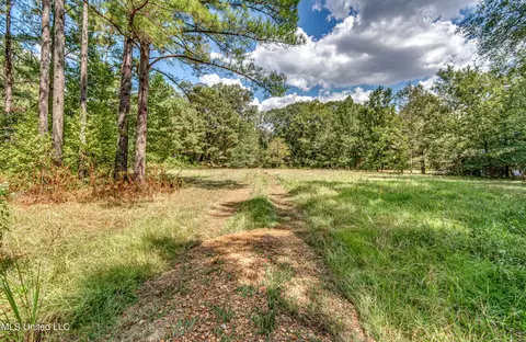 6910 Tank Rd, Terry, MS 39170 photo 64
