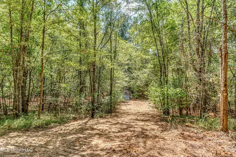 6910 Tank Rd, Terry, MS 39170 photo 67