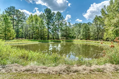 6910 Tank Rd, Terry, MS 39170 photo 52