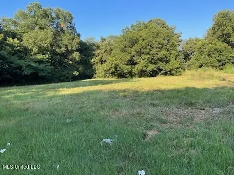 Tucker Cove Cove, Coldwater, MS 38618