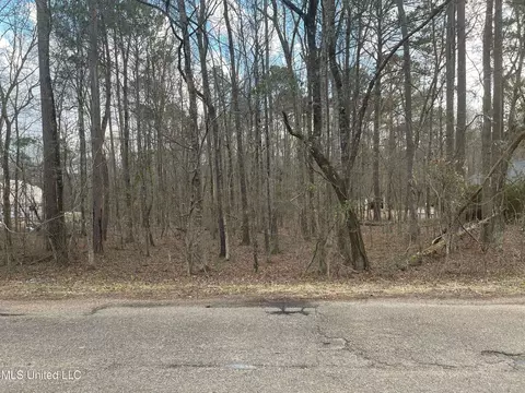 Pinedale Road, Terry, MS 39170