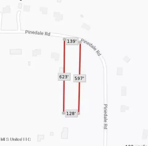Pinedale Road, Terry, MS 39170 photo 3