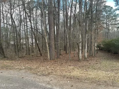 Pinedale Road, Terry, MS 39170 photo 2