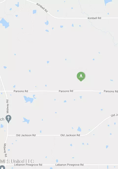 Pinedale Road, Terry, MS 39170 photo 4