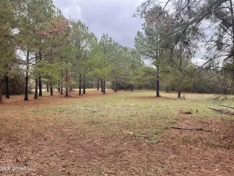 Haynes Chapel Rd Road, Pelahatchie, MS 39145