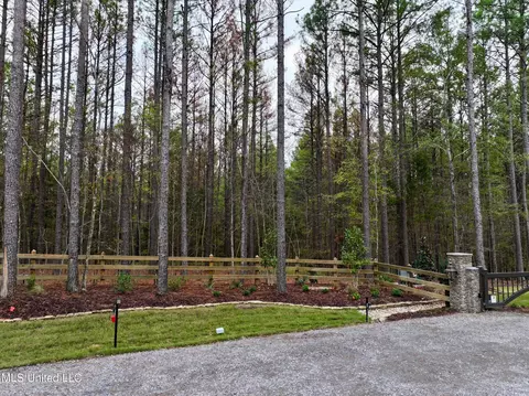 Springwood Trail, Flora, MS 39071 photo 12