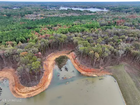 Springwood Trail, Flora, MS 39071 photo 5