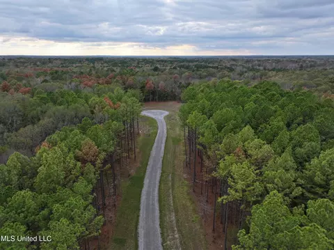 Springwood Trail, Flora, MS 39071 photo 7