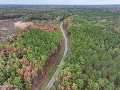 Springwood Trail, Flora, MS 39071 photo 8