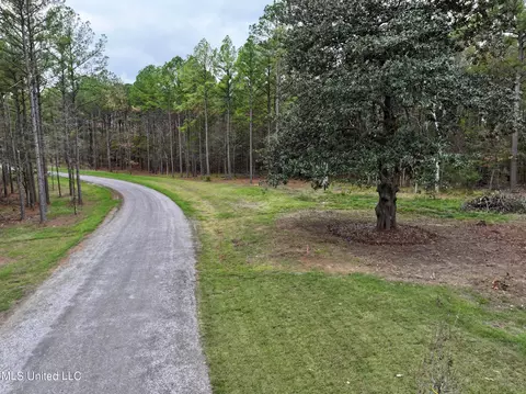Springwood Trail, Flora, MS 39071 photo 3