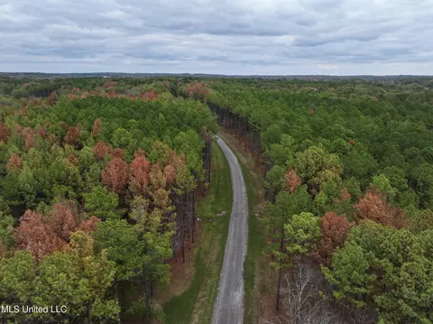 Springwood Trail, Flora, MS 39071 photo 6