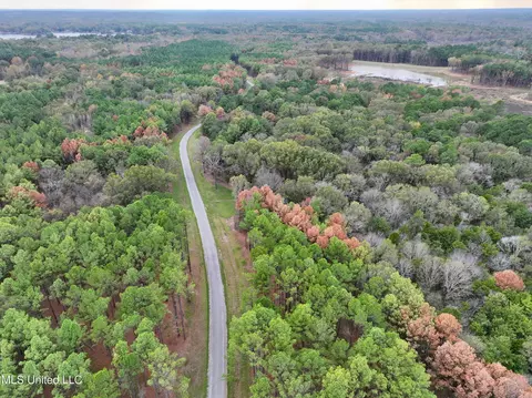 Springwood Trail, Flora, MS 39071 photo 4