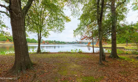 Swan Sea Lane, Madison, MS 39110
