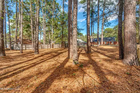 121 Harbor Rd, Madison, MS 39110 photo 11