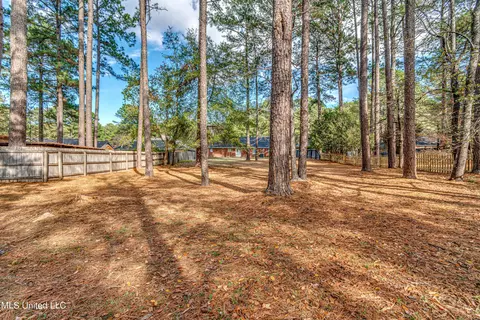 121 Harbor Rd, Madison, MS 39110 photo 12