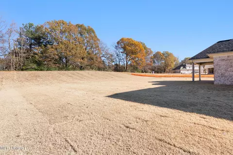 1458 Ashtons Ln, Hernando, MS 38632 photo 27
