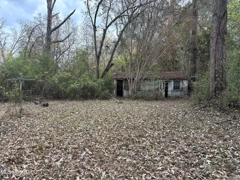 4393 Welota Dr, Jackson, MS 39209 photo 28