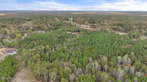 View/Area - 936 Trickhambridge, Brandon, MS 39042 photo 2 of 7