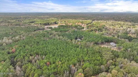 View/Area - 936 Trickhambridge, Brandon, MS 39042 photo 5 of 7