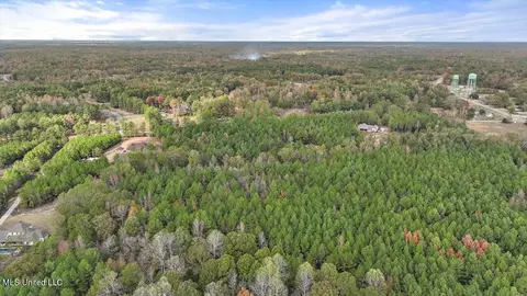 View/Area - 936 Trickhambridge, Brandon, MS 39042 photo 3 of 7