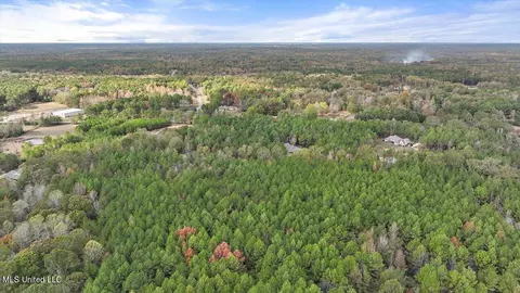 View/Area - 936 Trickhambridge, Brandon, MS 39042 photo 4 of 7