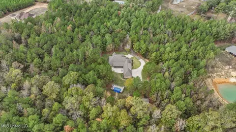 View/Area - 936 Trickhambridge, Brandon, MS 39042 photo 7 of 7