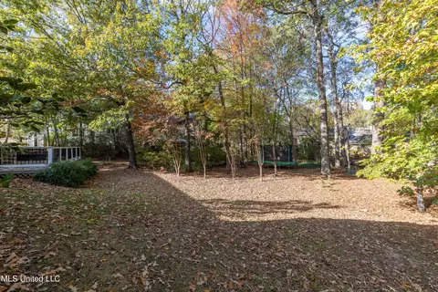 111 Bellingham Dr, Madison, MS 39110 photo 42