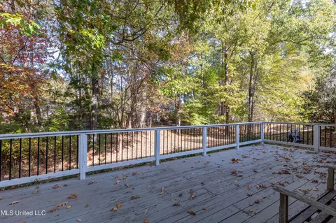 111 Bellingham Dr, Madison, MS 39110 photo 39