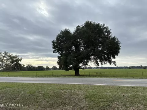 612 Mississippi 612, Lucedale, MS 39452 photo 2