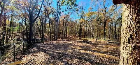 150 Hummingbird Cv, Sardis, MS 38666