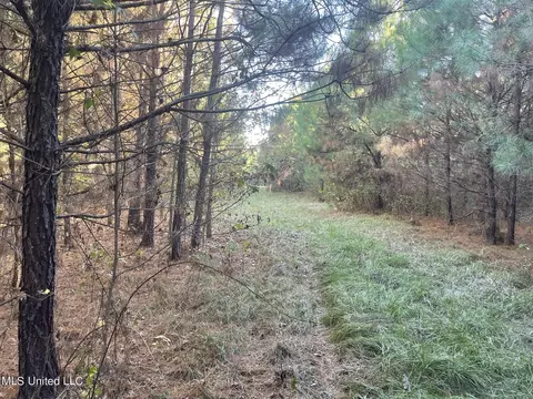 00 N Hwy 19, Collinsville, MS 39325