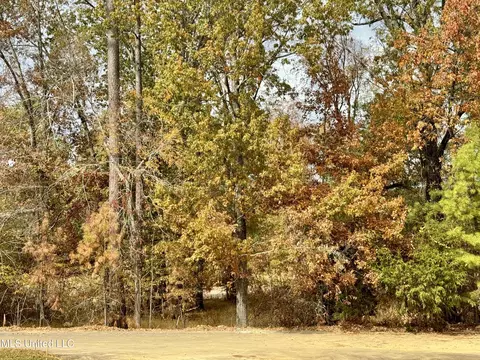 200 N Natchez Dr, Madison, MS 39110 photo 3