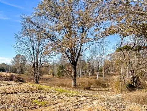 Belmont Road, Hernando, MS 38632 photo 12
