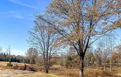 Belmont Road, Hernando, MS 38632 photo 16
